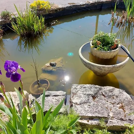 Le Moulin De L'Etang Hotel Chaneins Buitenkant foto
