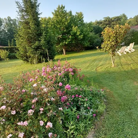 Le Moulin De L'Etang Hotel Chaneins Buitenkant foto