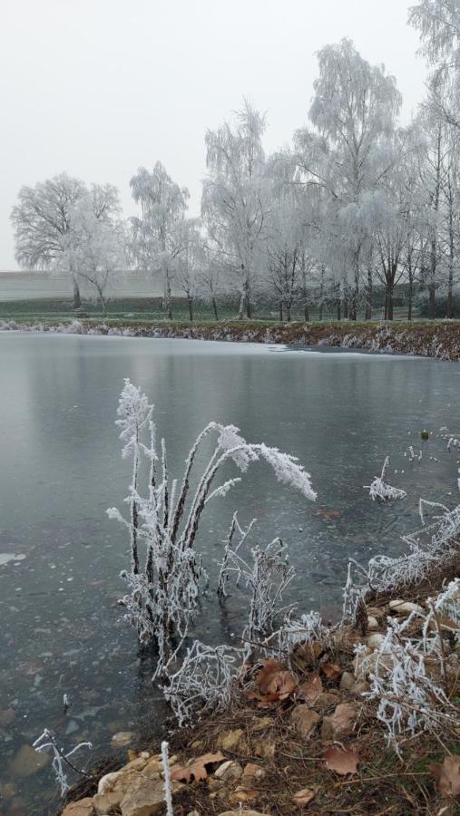 Le Moulin De L'etang Gasthuis 3*